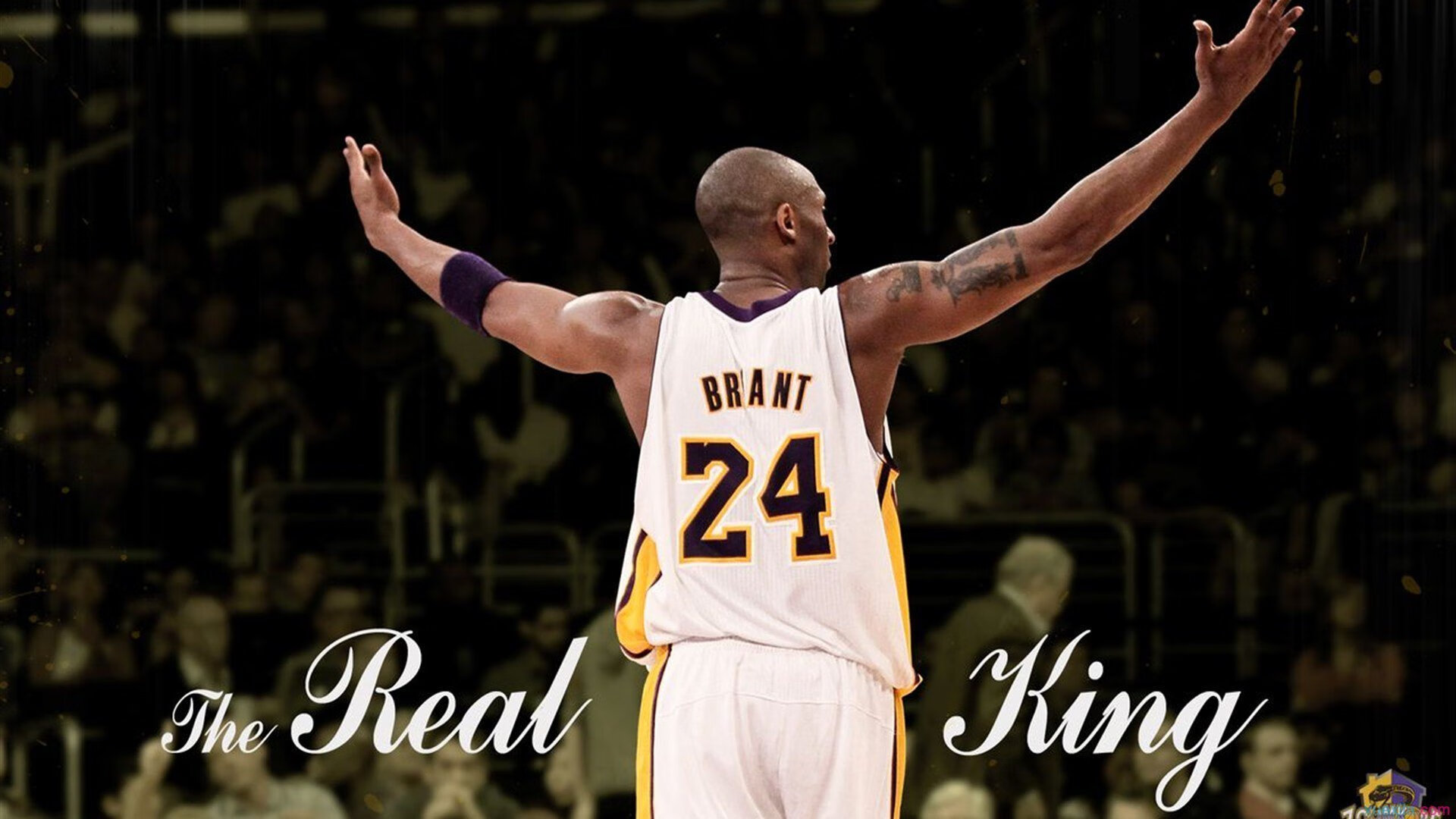 锡安时刻,辽宁队爆冷击败北京队的背后